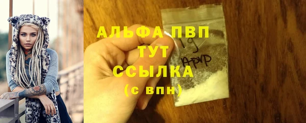 дурь Осташков