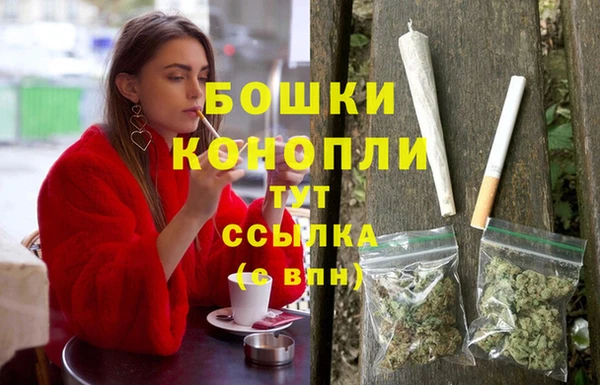 стаф Пересвет