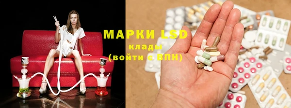 стаф Пересвет