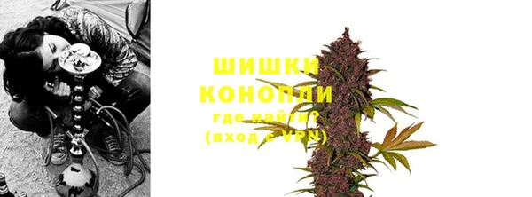 стаф Пересвет