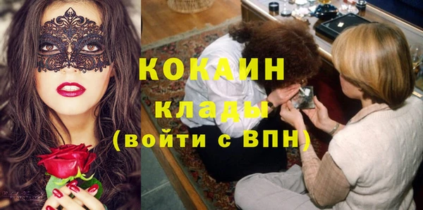 стаф Пересвет