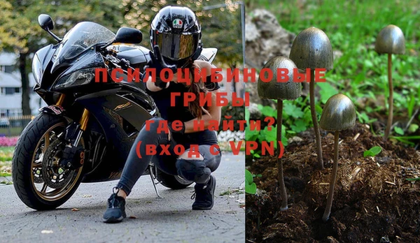стаф Пересвет