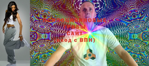 стаф Пересвет