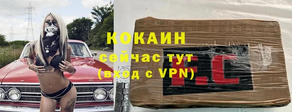 стаф Пересвет