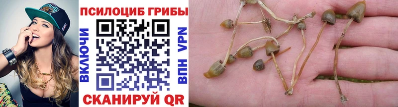 Галлюциногенные грибы мицелий  Ковылкино 